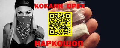 сатива Тверь