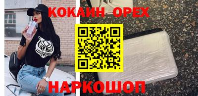 сатива Тверь