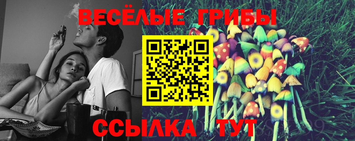 Алейск  Галлюциногенные грибы мухоморы  Вход с VPN  Псилоцибиновые грибы Psilocybine cubensis 