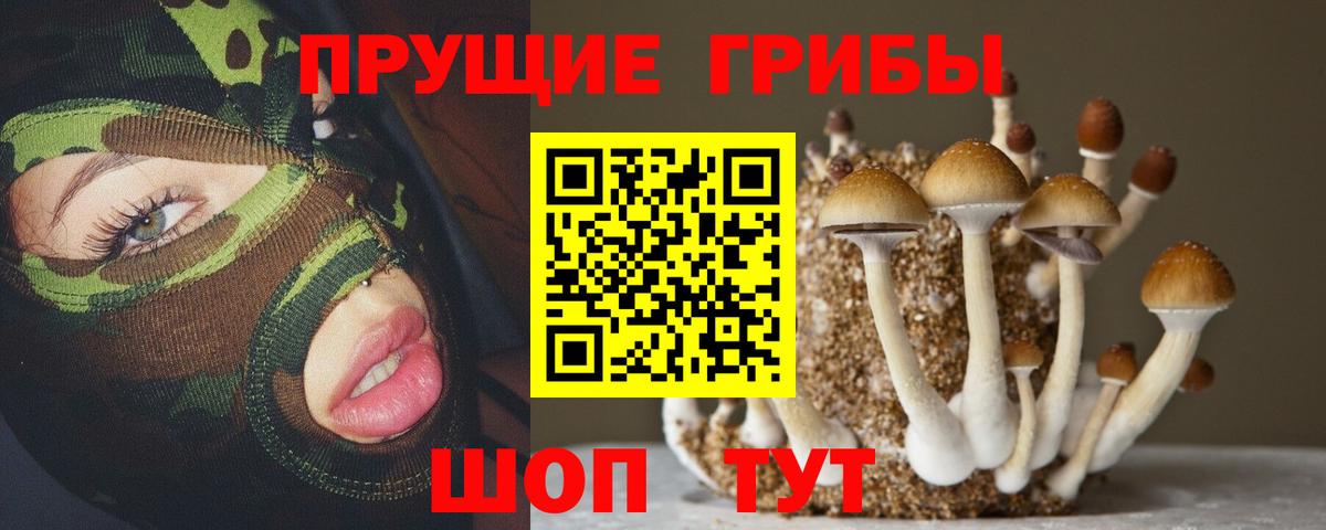 Галлюциногенные грибы Magic Shrooms Алейск